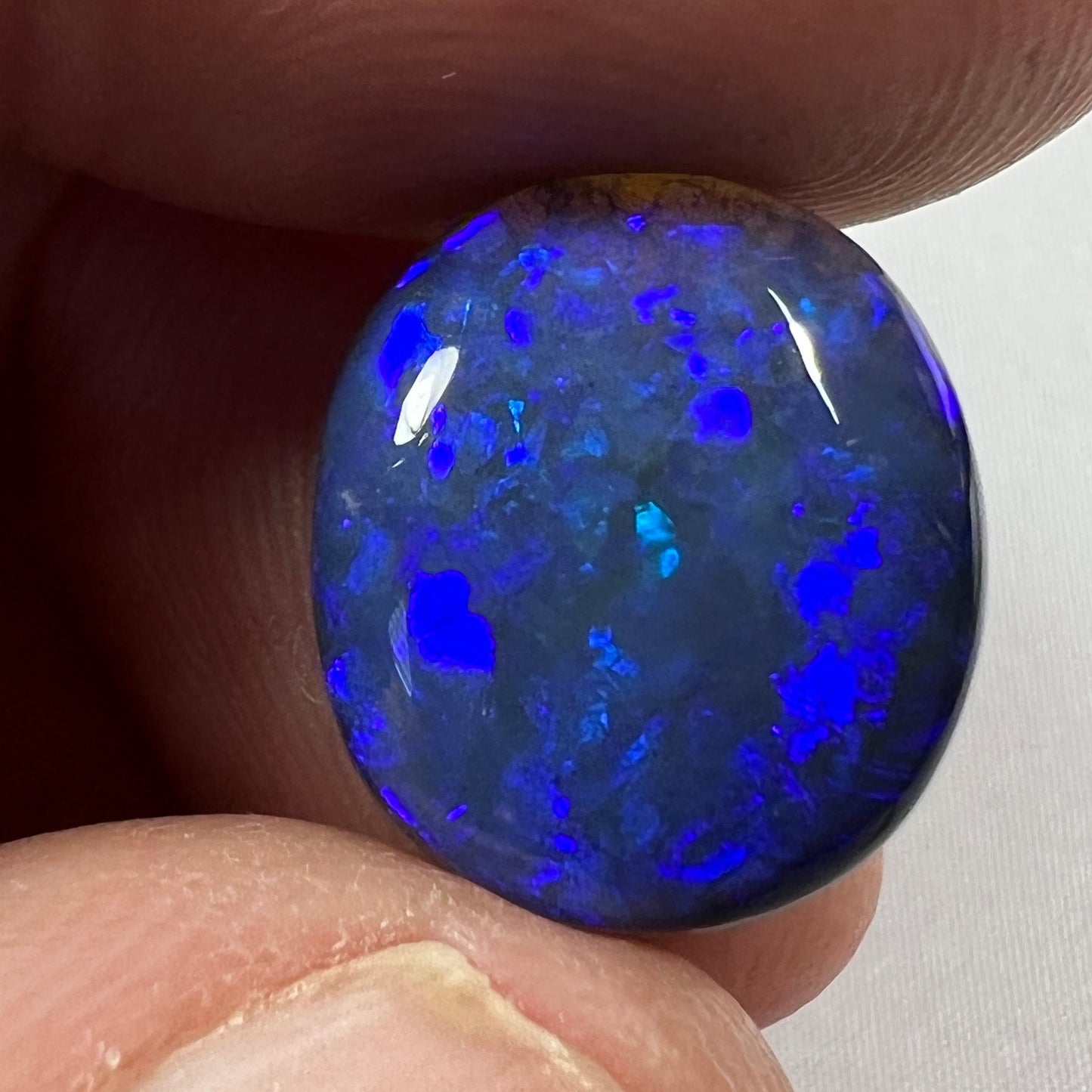 Beautiful blue on black Lightning Ridge solid opal. Rough originally supplied by the Tunnel Rats, and the precious gem supplied to us by Phoenix Opals.