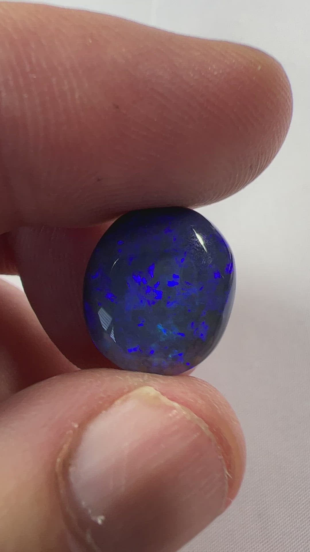 Beautiful blue on black Lightning Ridge solid opal. Rough originally supplied by the Tunnel Rats, and the precious gem supplied to us by Phoenix Opals.