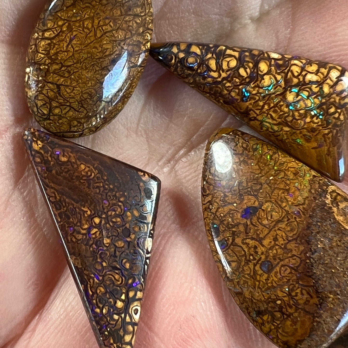 Four lovely Winton bolder opals, with great cut and polish. Bright colours with rolling flash.