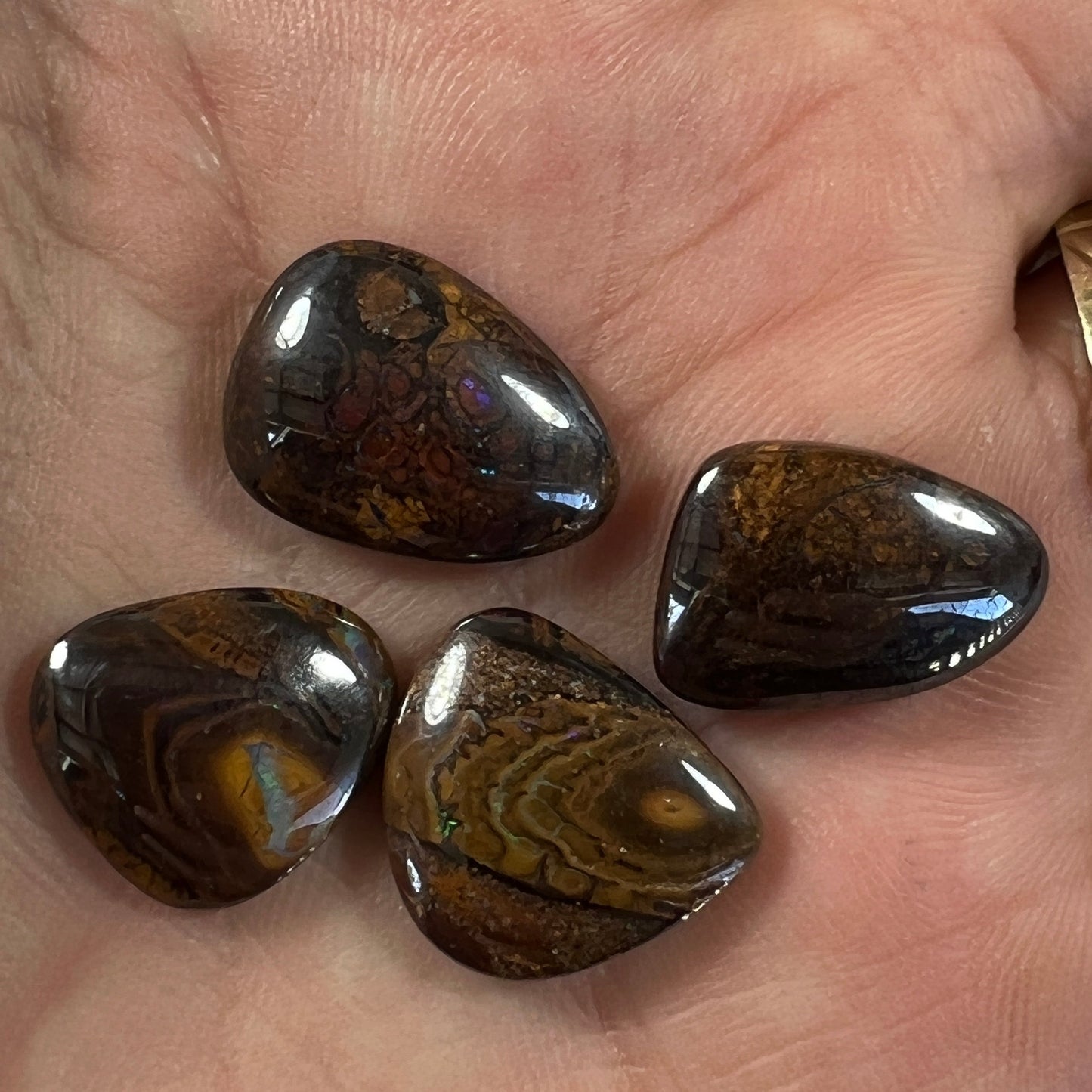 Four lovely pieces of boulder opal from Winton. Nice dome and polish showing great colours.