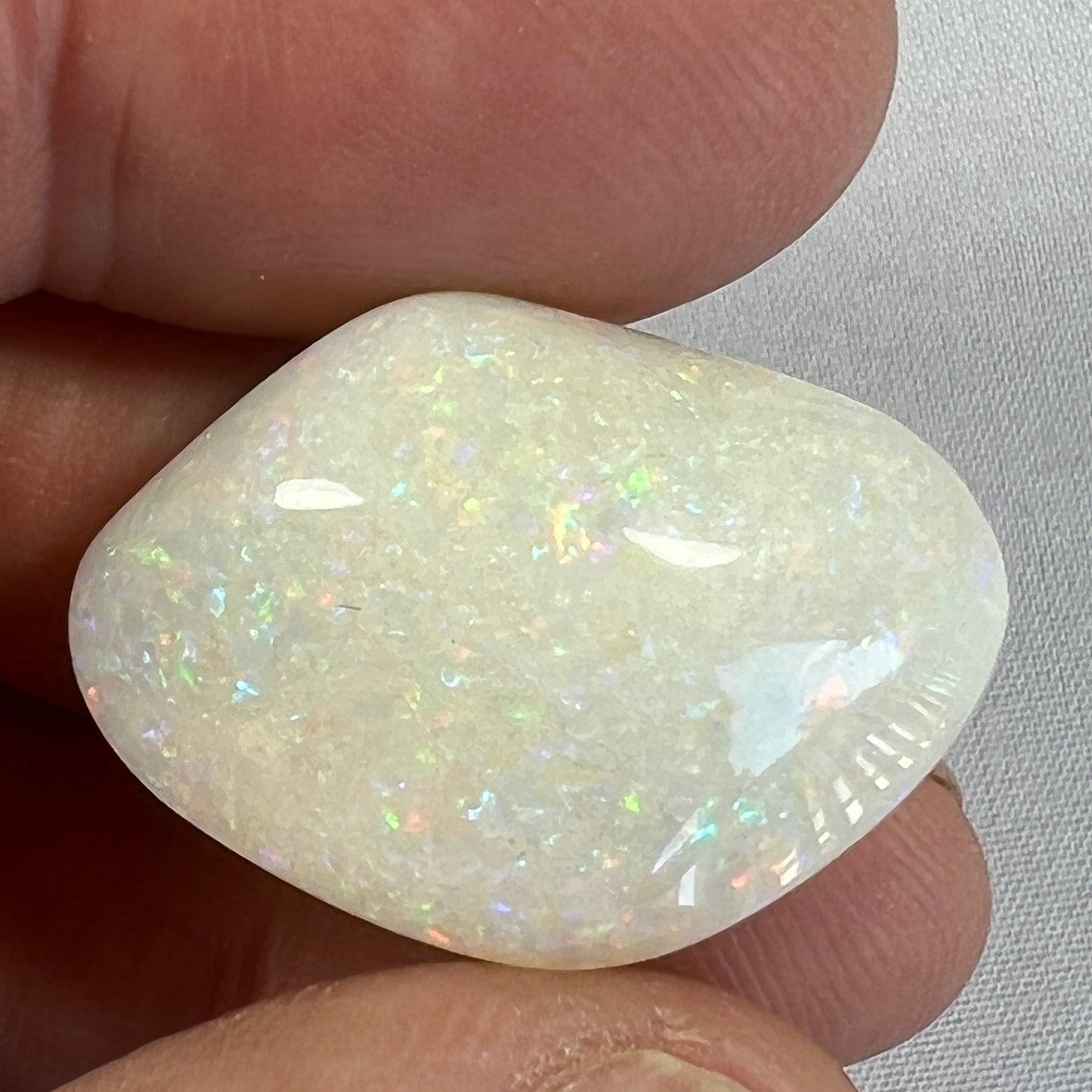 One of the finest fossilised shells you will ever see. Awesome pin fire throughout. Cut and polished by Bill Johnson. It will be hard to find another like this.