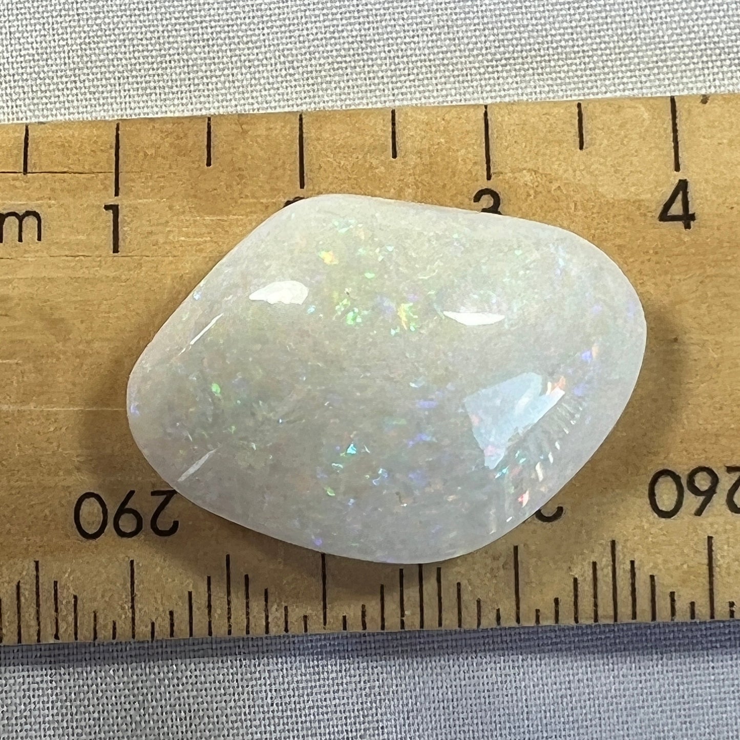 One of the finest fossilised shells you will ever see. Awesome pin fire throughout. Cut and polished by Bill Johnson. It will be hard to find another like this.