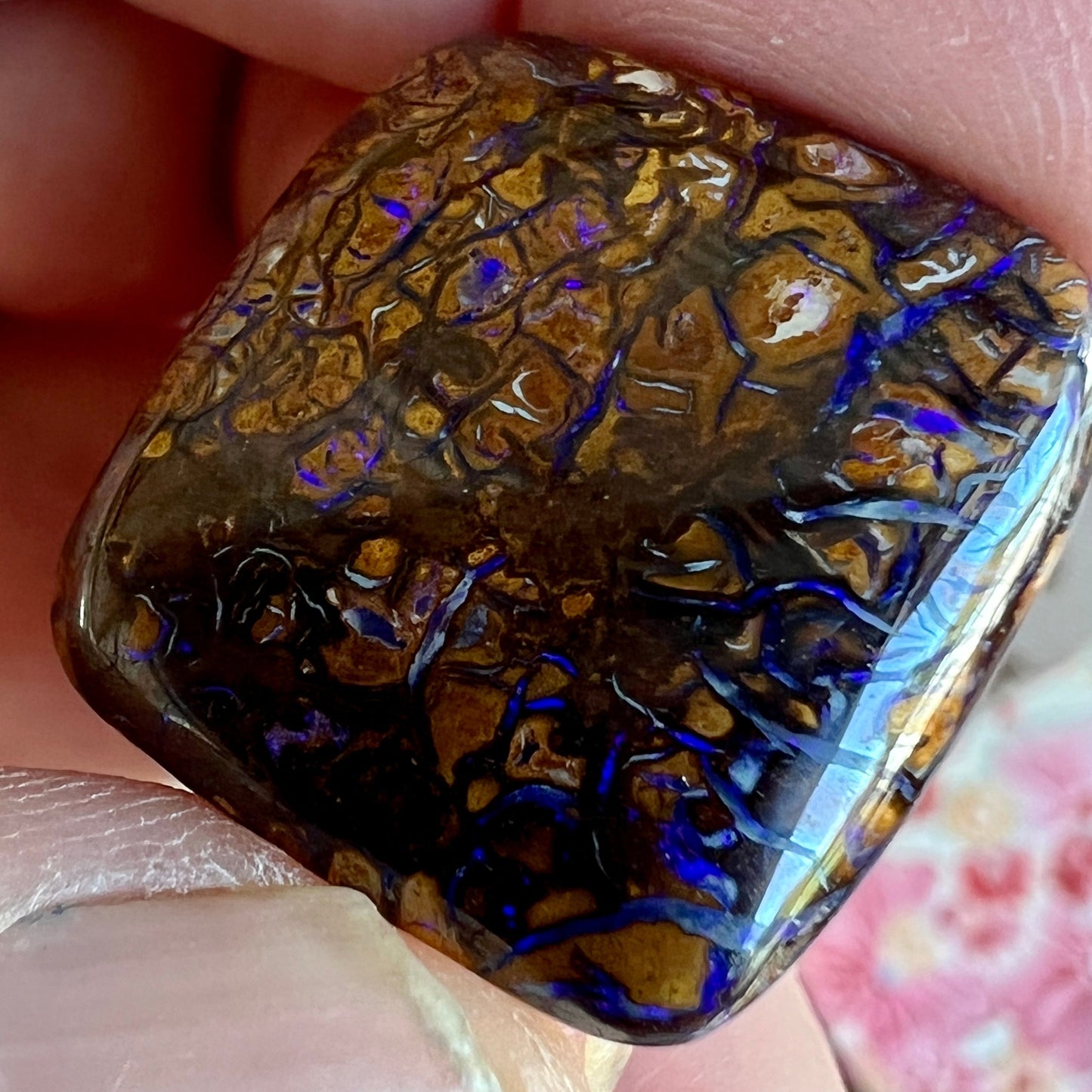 Winton boulder opal pair. A great polish. Lovely examples.