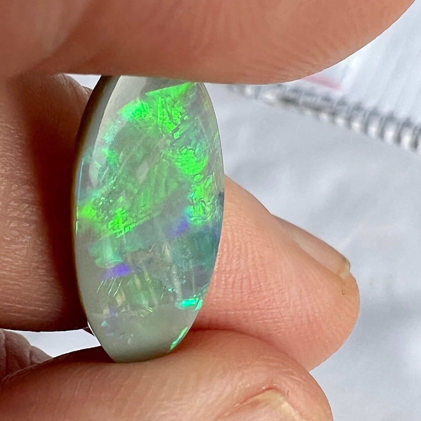Stunning colours are displayed in this beautiful Grawin solid opal. Great cut and polish, featuring iridescent blues and greens.