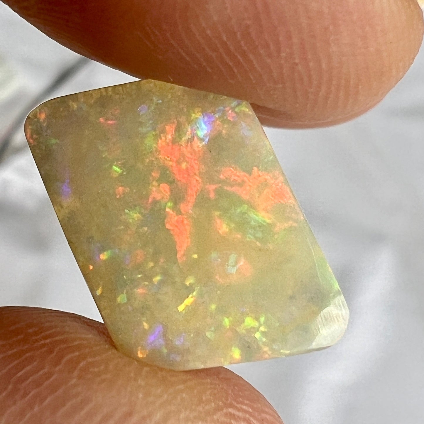 Wonderful Lightning Ridge solid semi black opal, showing all colours. A great shape.