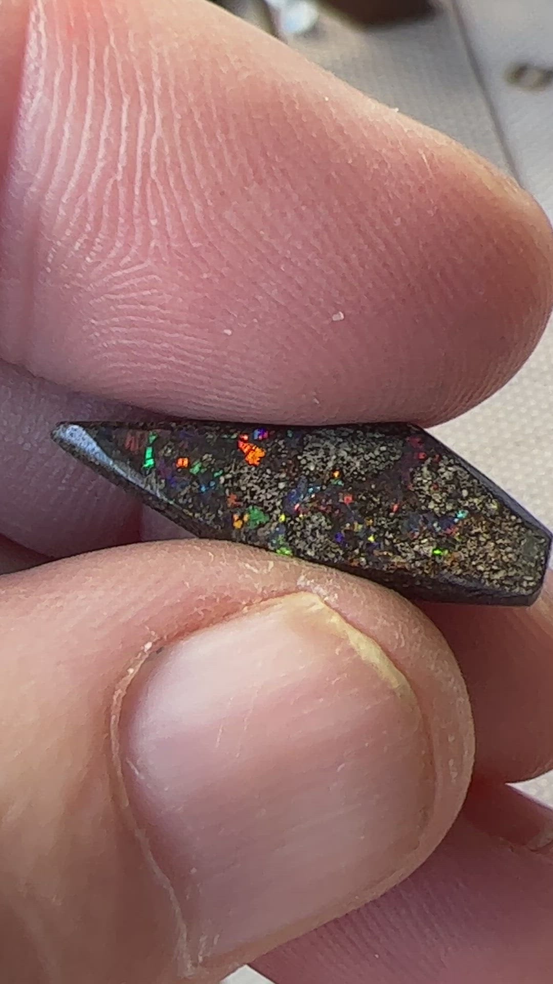 Great piece of Winton boulder opal showing nice colours including reds.