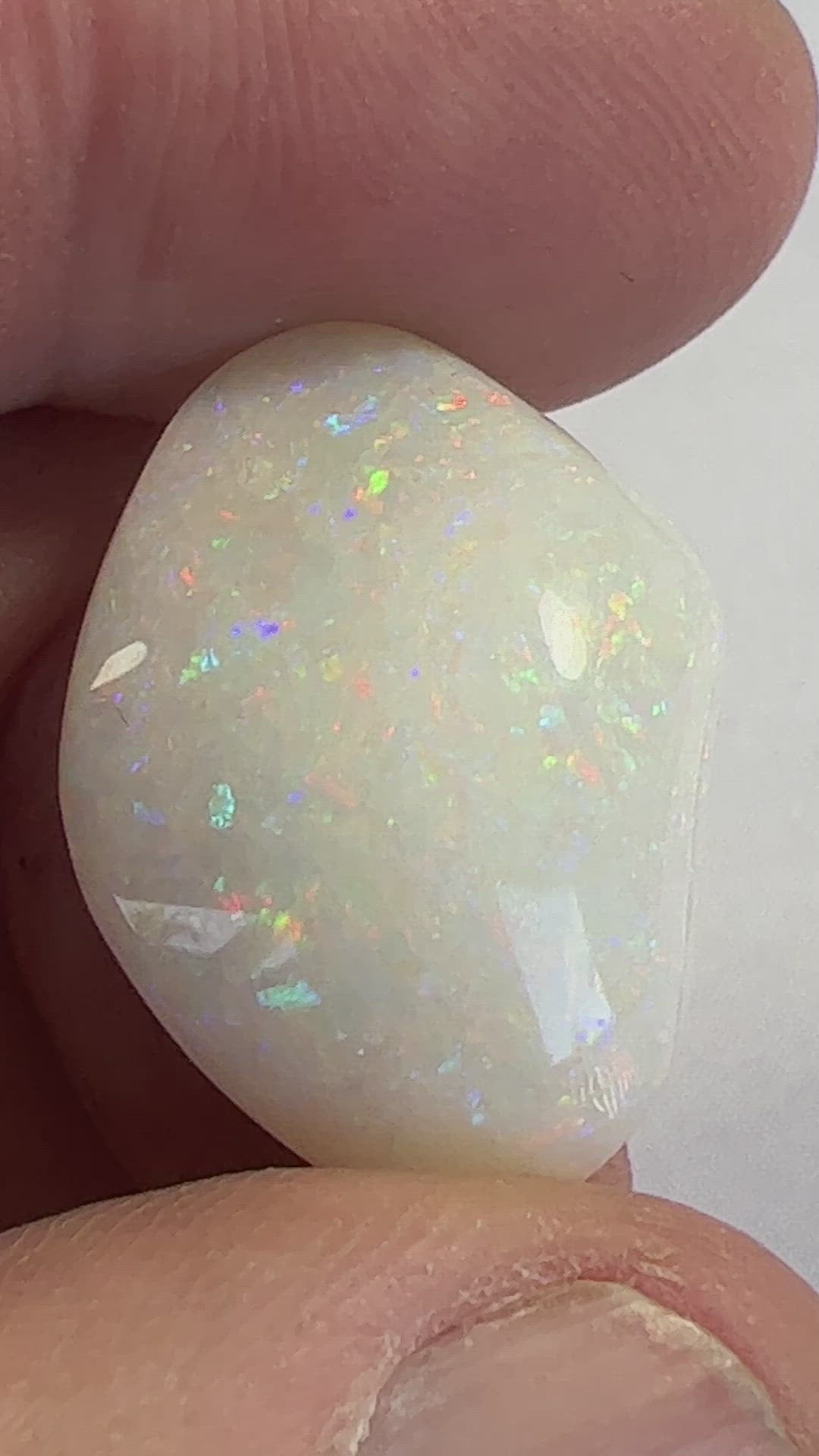 One of the finest fossilised shells you will ever see. Awesome pin fire throughout. Cut and polished by Bill Johnson. It will be hard to find another like this.