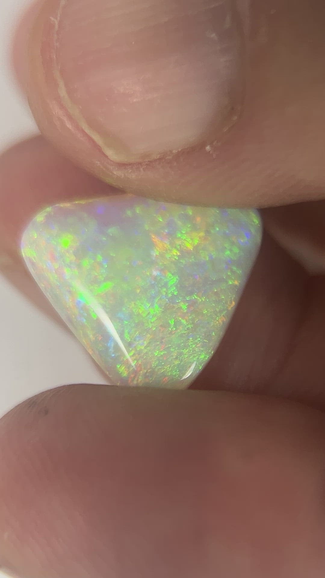 Stunning triangle shaped solid crystal opal from Grawin, Lightning Ridge.. A great shape and a spectrum of colours throughout including greens, blues and reds.
