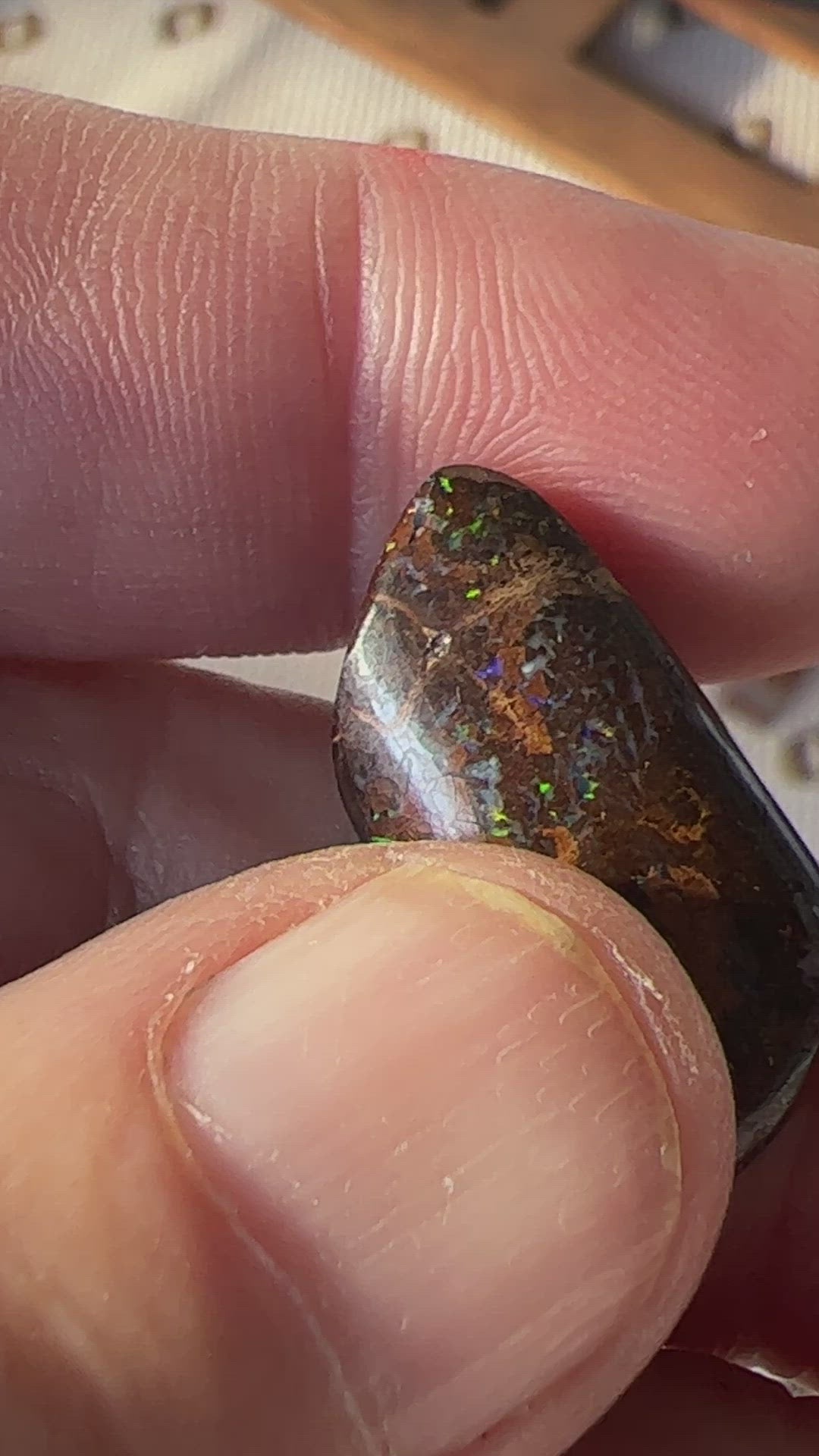 Boulder opal from Opalton, with a fantastic cut and polish, displaying great colours.