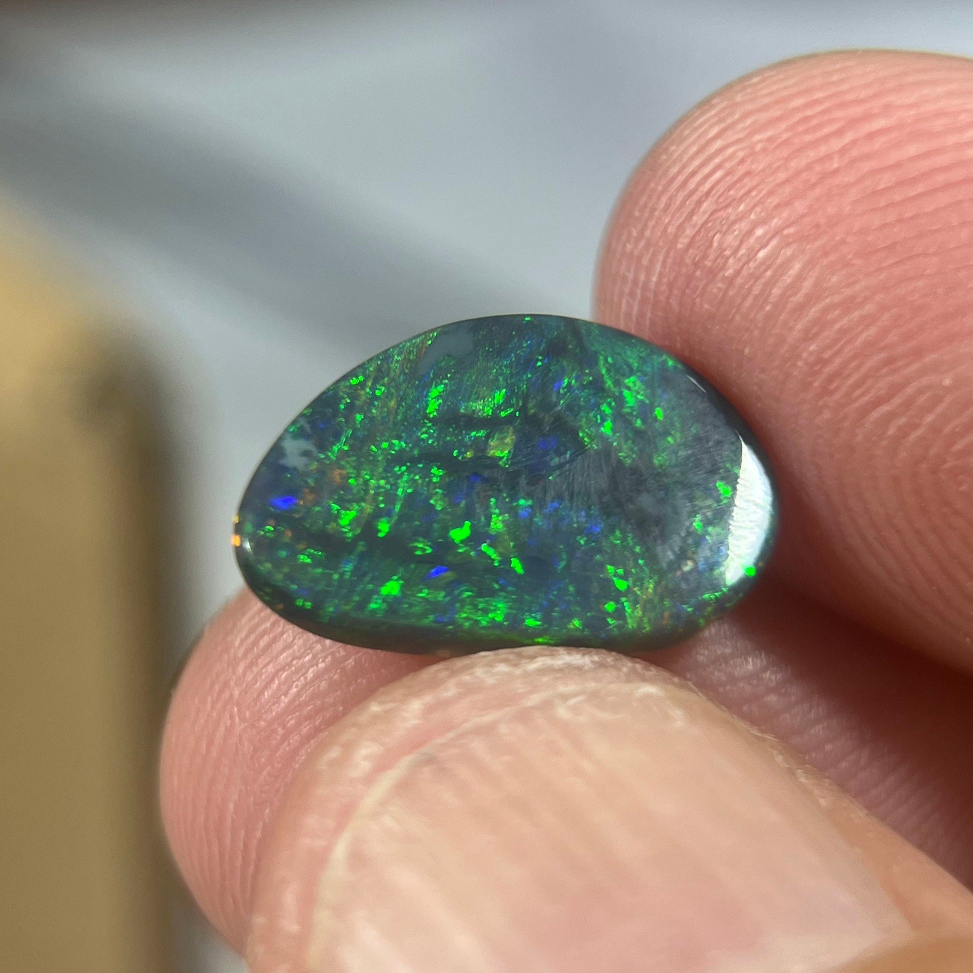 Lightning Ridge gem quality semi-black solid opal. Ready to make into that perfect ring or pendant. Beautiful greens and blues with a hint of reds.