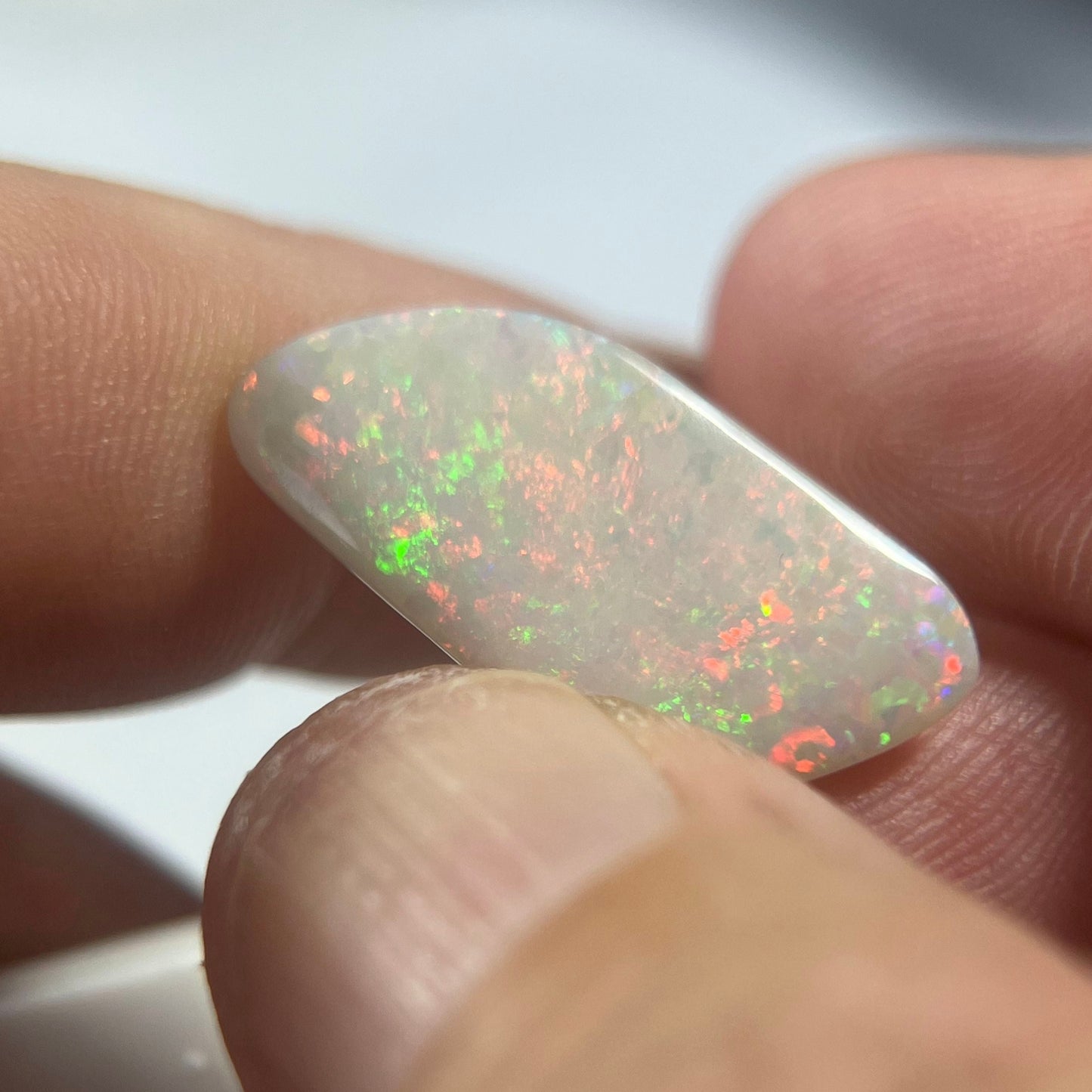 Lightning Ridge solid opal. Well shaped stone displaying stunning colours from all angles including plenty of reds, orange and greens.