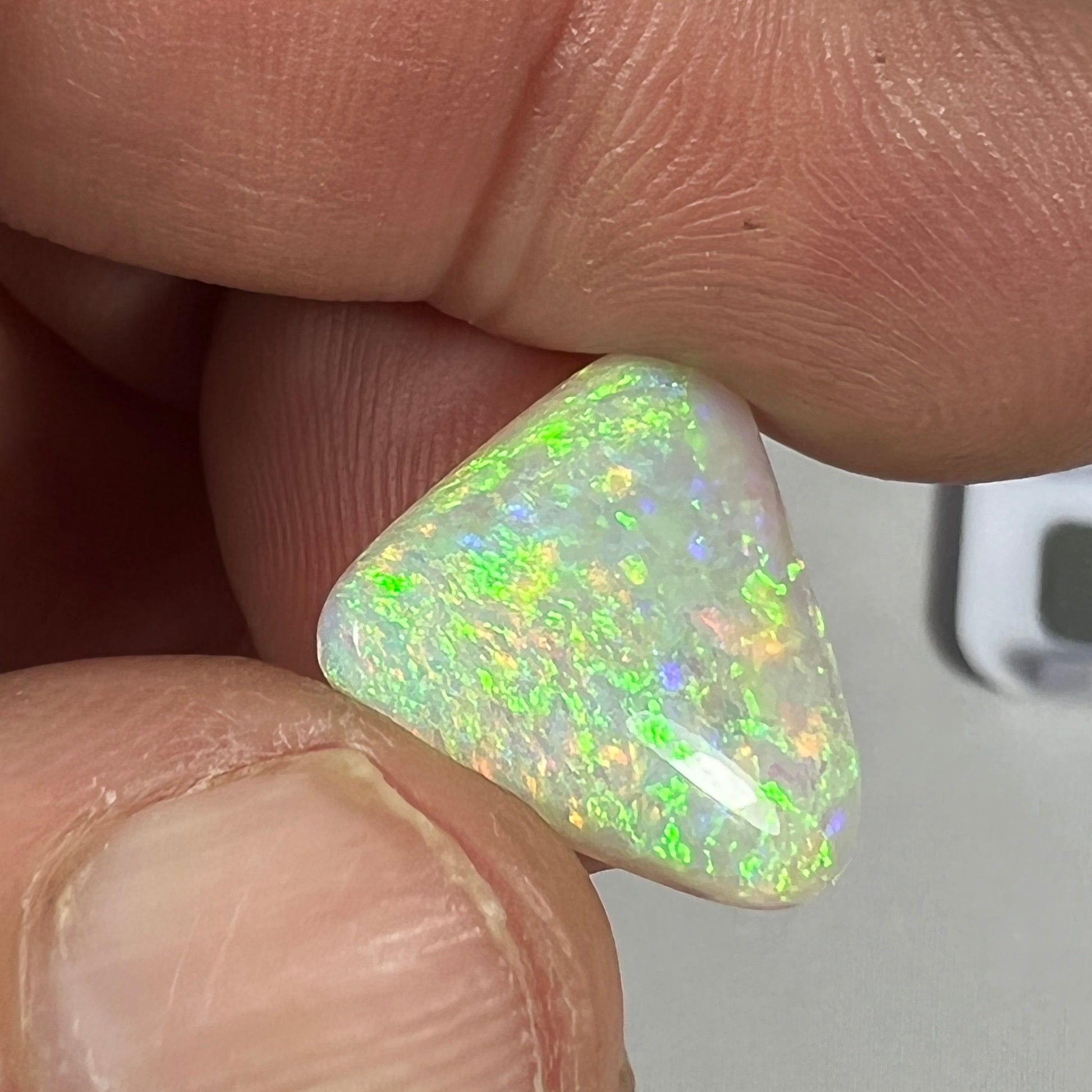 Stunning triangle shaped solid crystal opal from Grawin, Lightning Ridge.. A great shape and a spectrum of colours throughout including greens, blues and reds.