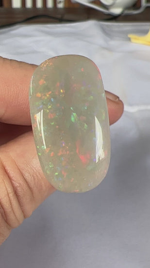Beautiful array of colour in this solid white opal from Coober Pedy. A nice cut and ready to set.