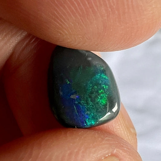 This solid black opal from Lightning Ridge is a beautiful stone. Requires an expert finish.