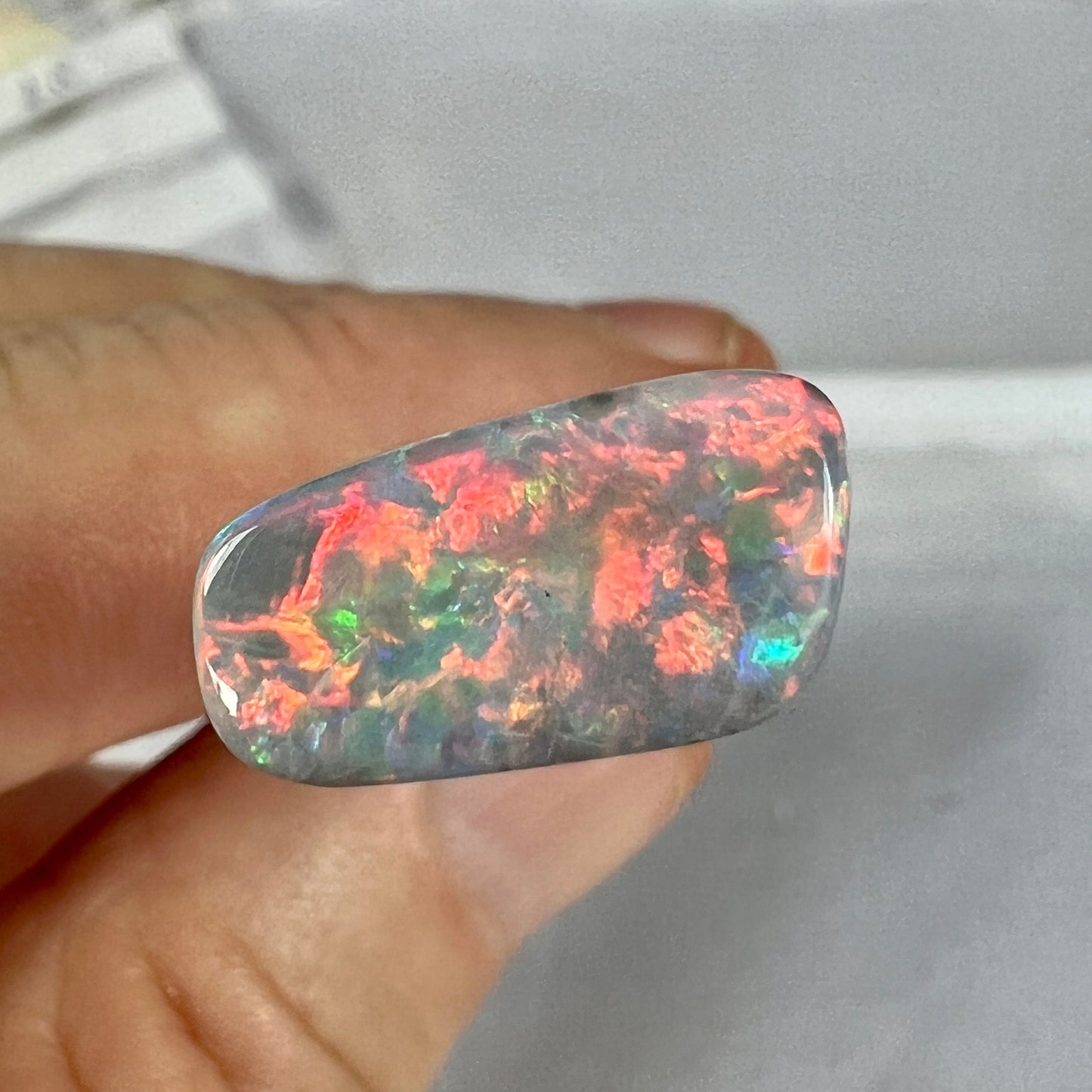 The colours in this opal are a knockout. Bright reds, blues, and greens. A dark opal from Mintabie. Ready for setting.