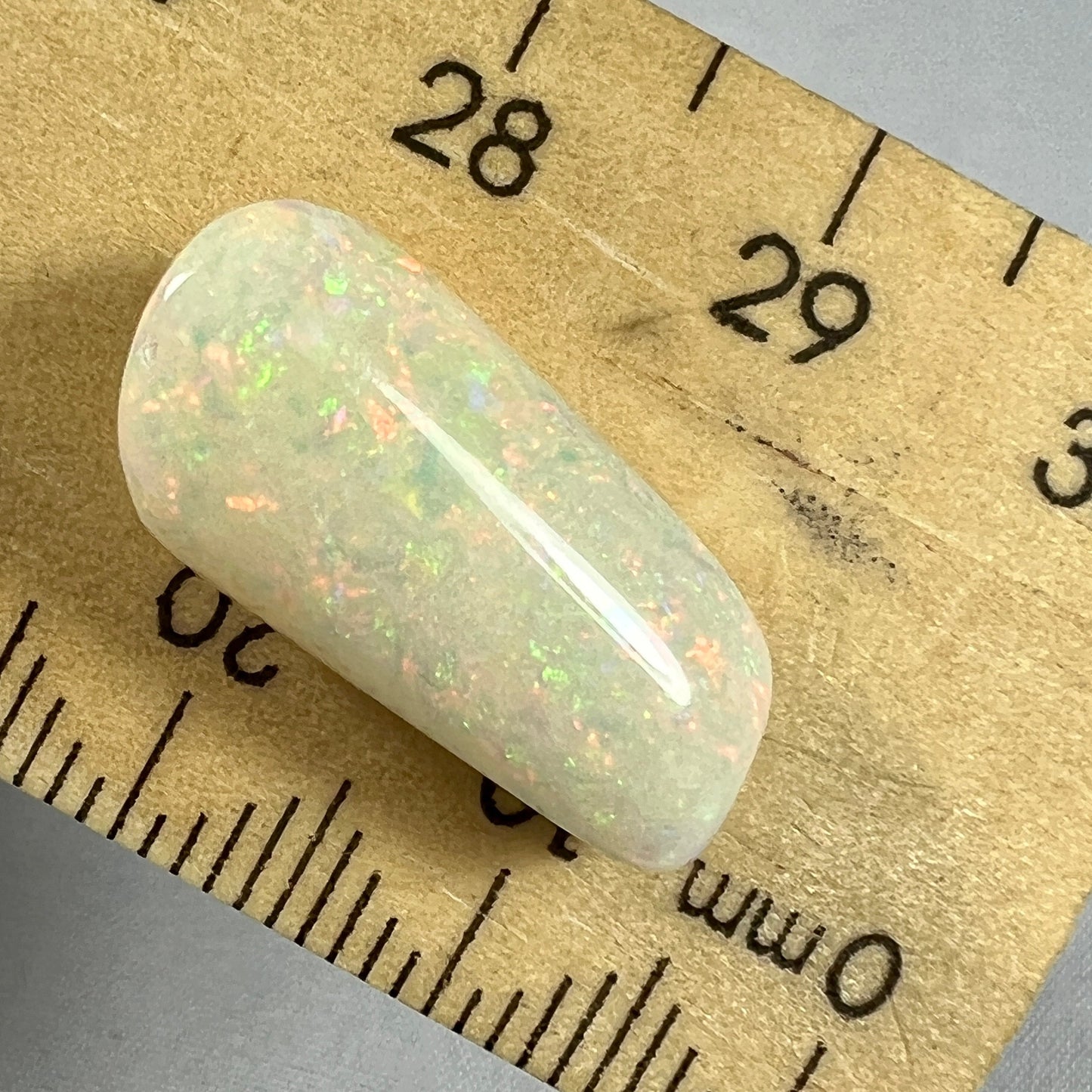 Solid Fossilised Belemnite Opal with beautiful pin fire colours.