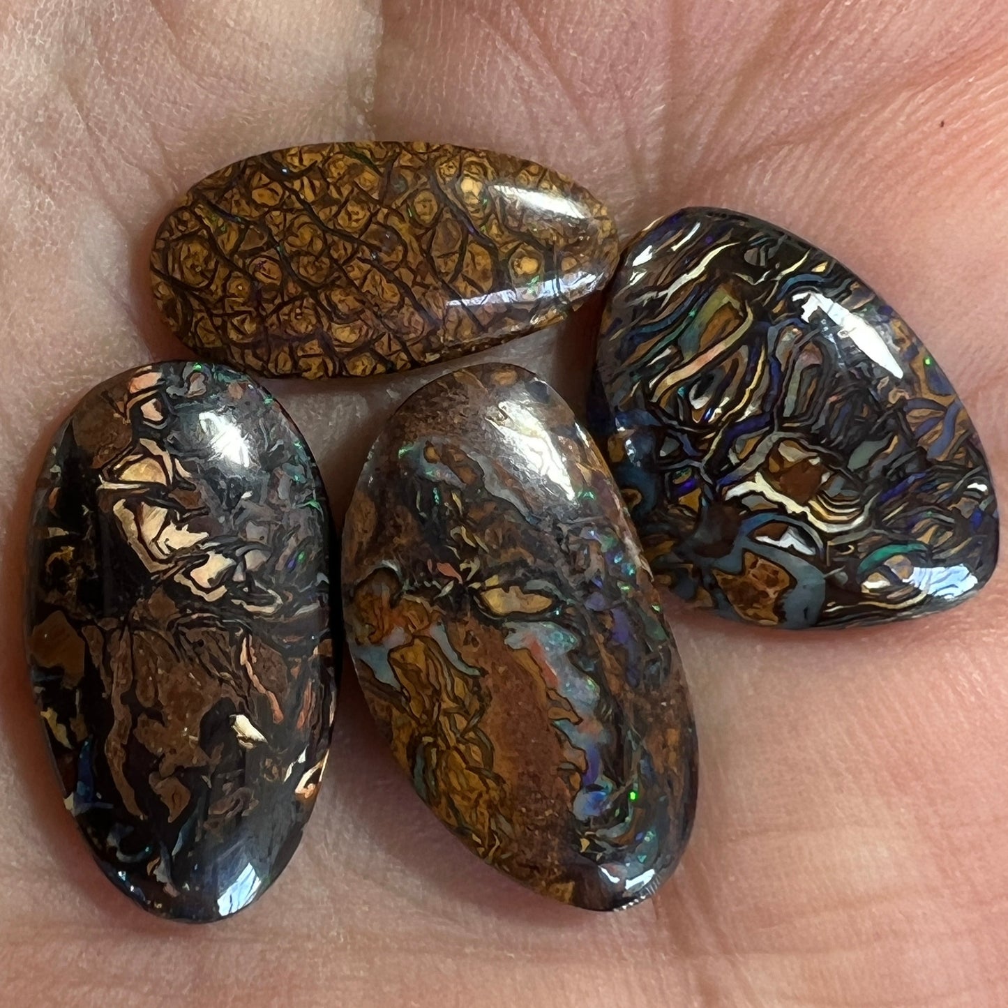 Lovely group of Queensland boulder opals with great patterns and colour.