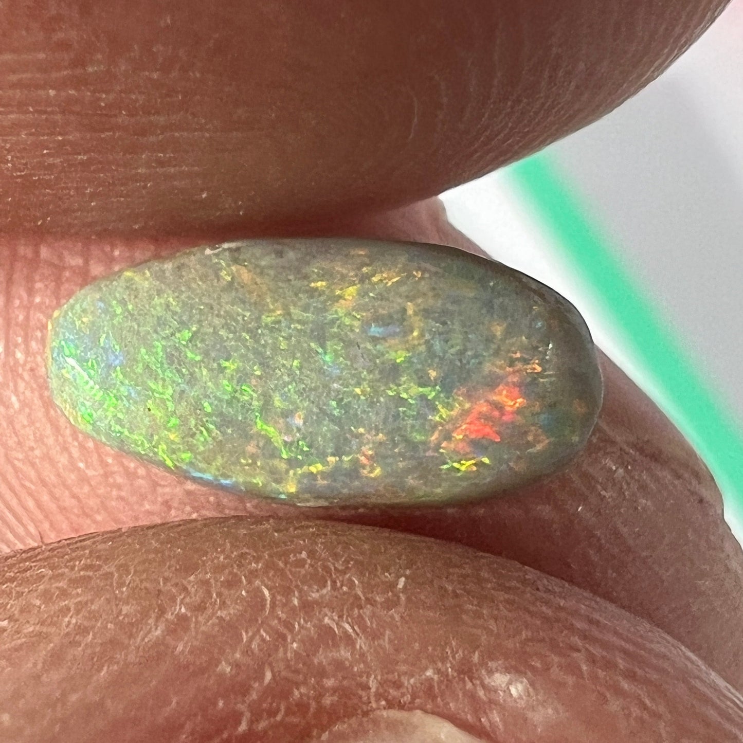 A cracker of a gemstone from Lightning Ridge. Grey and multi-coloured. Ready to set.