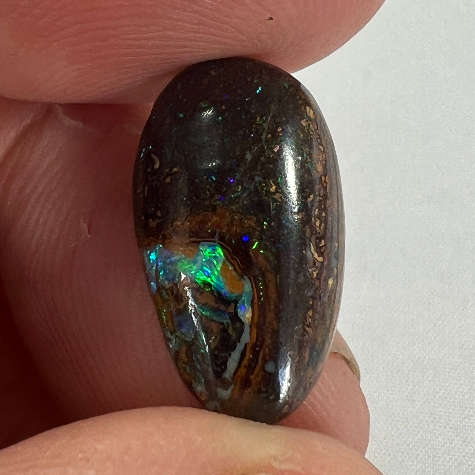 Lovely piece of Winton boulder opal. A nice little ring stone with good flashes of colour.
