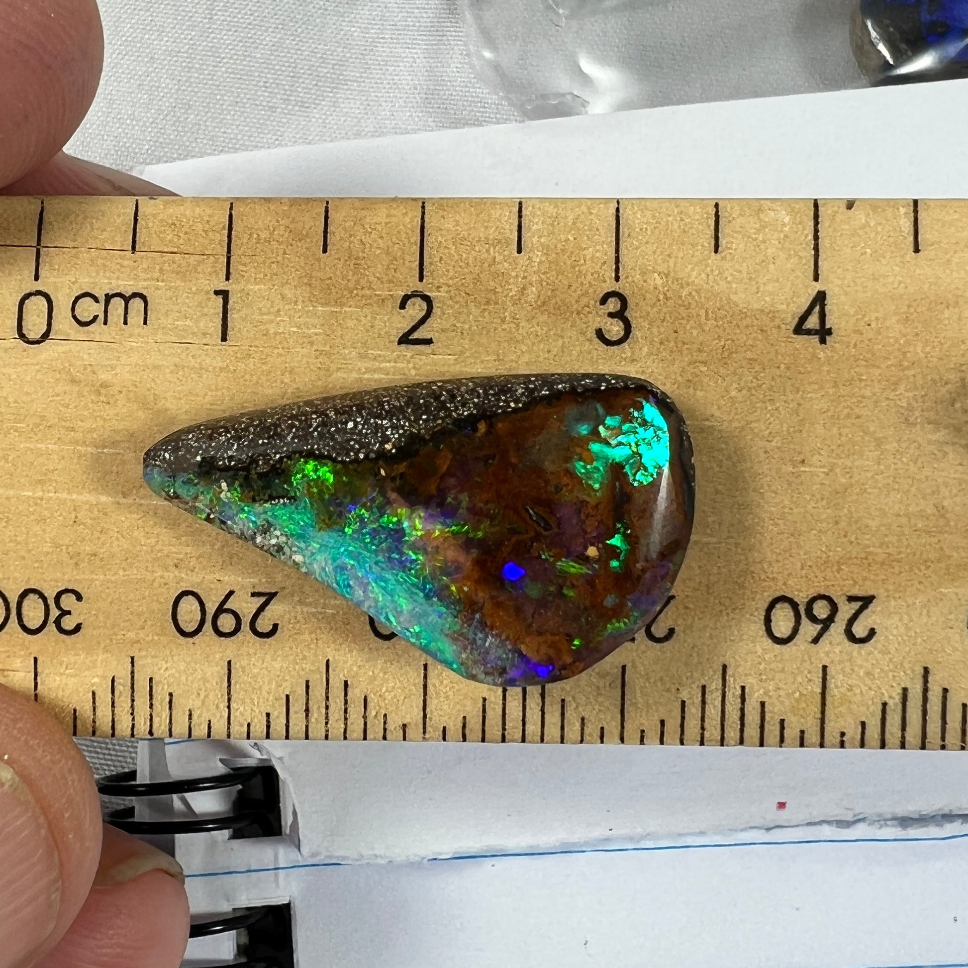 An absolute beauty from Winton. Stunning piece of boulder opal.