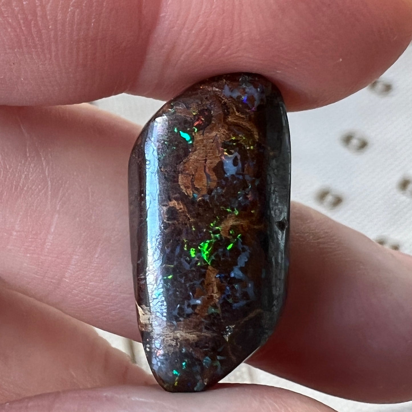 Boulder opal from Opalton, with a fantastic cut and polish, displaying great colours.