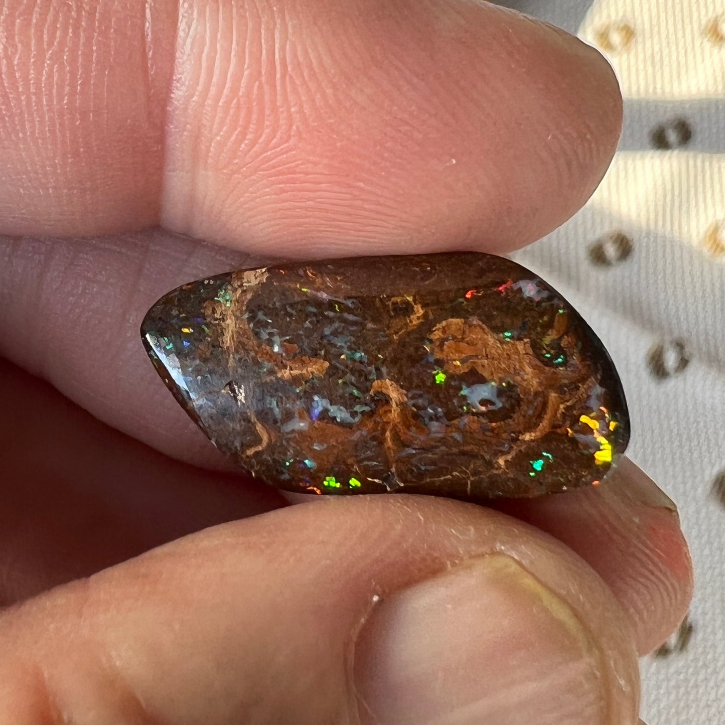 Boulder opal from Opalton, with a fantastic cut and polish, displaying great colours.