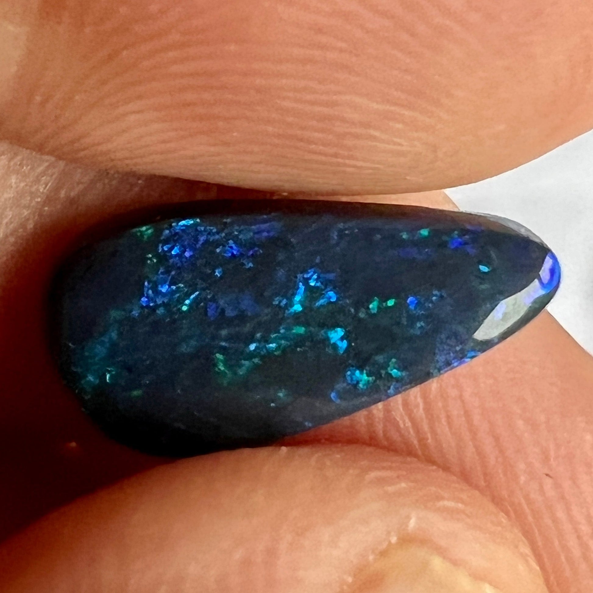 Beautiful solid black gemstone from Lightning Ridge displaying stunning blues and greens.