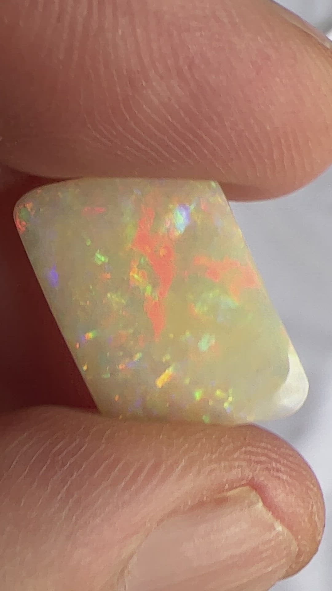 Wonderful Lightning Ridge solid semi black opal, showing all colours. A great shape.