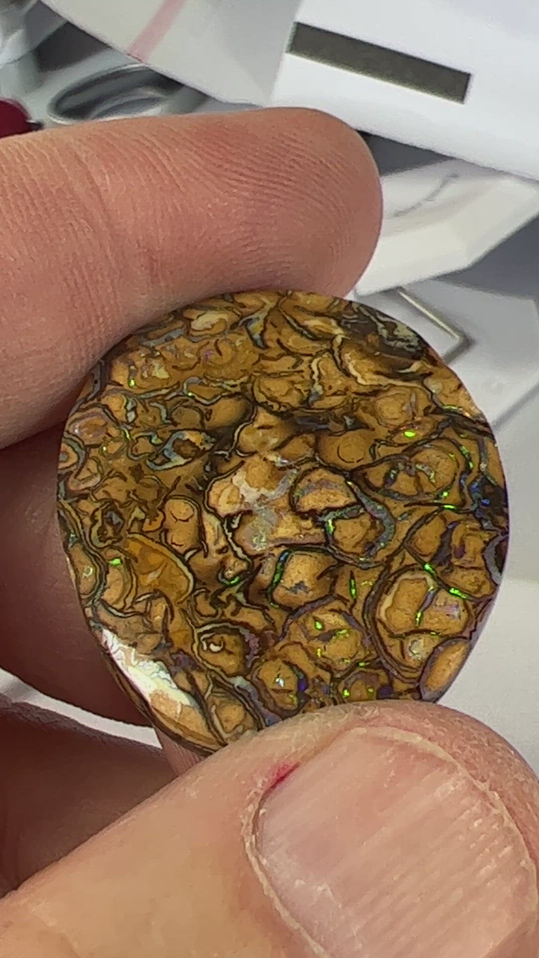 Large Yowah Matrix opal with a great pattern and colour.